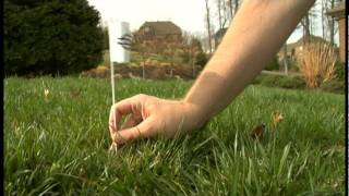 How to install Underground Dog Fence  Electric Dog Fence  InGround Fence No Digging Required [upl. by Kronfeld650]