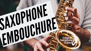 Saxophone Embouchure Basics [upl. by Hollinger]