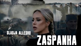 Sladja Allegro ZASPANKA OFFICIAL VIDEO 2024 [upl. by Eulalia]