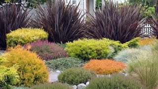 Ornamental grasses Design For Your Garden [upl. by Tricia411]