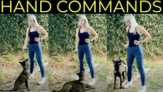 HOW TO TRAIN WITH HAND COMMANDS  NONVERBAL DOG TRAINING  Belgian Malinois [upl. by Norej223]