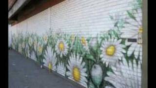 Naturaleza en murales [upl. by Gillie]