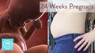 24 Weeks Pregnant What You Need To Know  Channel Mum [upl. by Ettelliw473]