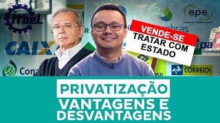 Privatização Vantagens e Desvantagens [upl. by Mcclenon]