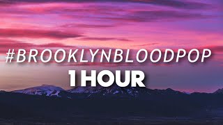 Syko  BrooklynBloodPop 1 HOUR [upl. by Ahsas289]