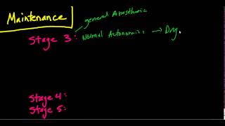 The Stages of Anesthesia The Basics Guedels Classificaiton [upl. by Geminian678]