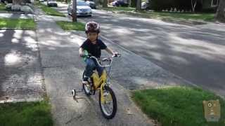 Learning To Ride A Bicycle With Training Wheels [upl. by Colfin]