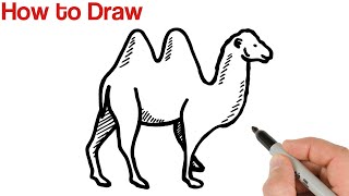 How to Draw Camel Bactrian Easy [upl. by Adriana]