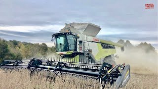 510 Bushel CLAAS 8700 Terra Trac LEXION Combine [upl. by Latnahc895]