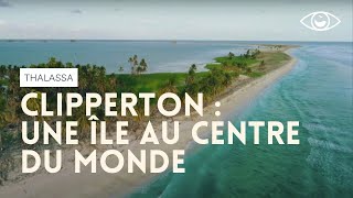 Clipperton une île au centre du monde  Thalassa [upl. by Gauthier424]