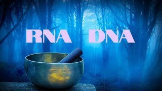 🕉 RNA DNA HEAL amp REPAIR [upl. by Imugem]