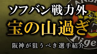 【魅力的左腕】阪神が獲得すべきソフトバンクの戦力外選手を紹介【阪神タイガース】 [upl. by Traci]