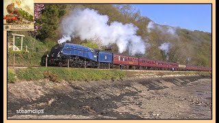 60007 Sir Nigel Gresley at Speed in South Devon 19th April 2014 [upl. by Heilner]