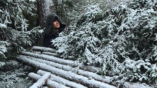 Will I Stay Warm in this Laavu Shelter WINTER CAMPING in Snowfall Bushcraft [upl. by Nike]