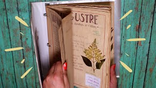 MI HERBARIUM  DIY [upl. by Beka]