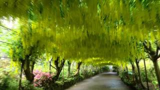 Great British Garden Revival  Bodnant Gardens [upl. by Lezah125]