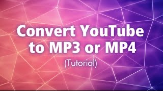 Convert YouTube to MP3 or MP4 Tutorial  AmoyShare Total Media Solution [upl. by Nomzzaj]