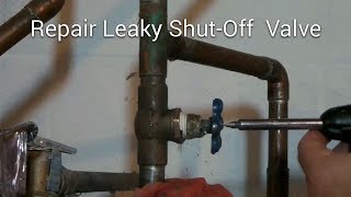 Repair Leaky ShutOff Valve Howto DIY Fix It  Please Read Safety Tips amp New Info in Description [upl. by Aehtorod293]