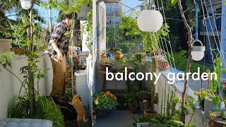 Apartment Balcony Garden  designing with plants [upl. by Mufinella]