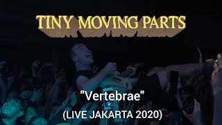 Tiny Moving Parts  Vertebrae live in jakarta 2020 [upl. by Arbas]