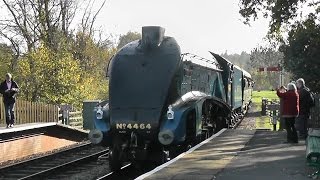 Bluebell Railway  Giants of Steam 2015 [upl. by Wobniar]