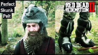 Where To Find A Skunk  Red Dead Redemption 2 Perfect Pelt Location Guide RDR2 [upl. by Alimac]