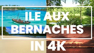 Ile Aux Bernaches Mauritius in 4K [upl. by Semaj]