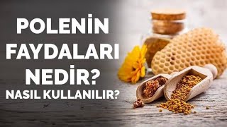 POLEN NASIL KULLANILIR Polenin Faydaları [upl. by Anailli439]