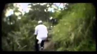 Elephant Man  Higher Level OFFICIAL VIDEO [upl. by Damas]