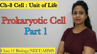 Cell  The Unit of Life  Prokaryotic cell Part1  Structure amp Functions  Class 11 BiologyNEET [upl. by Iroc]