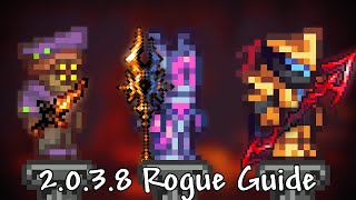 Calamity Rogue Guide  2024 [upl. by Ahsemak]