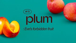 Plum Eves forbidden fruits [upl. by Ellennad664]