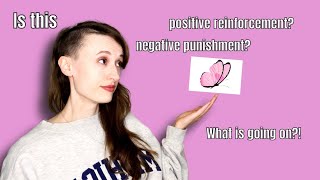 Positive and Negative  Reinforcement and Punishment  With Practice Questions [upl. by Lienaj]