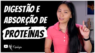 Digestão e absorção de proteínas  MK Fisiologia [upl. by Jeddy134]