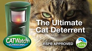 Diaotec 360° Ultrasonic Animal Repeller Smart for Cats review [upl. by Leahcimal67]