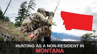 NonResident Hunting Opportunities in Montana  Mastering the Draw [upl. by Silvie]