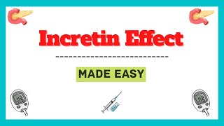 Incretin Effect Incretin Effect in Diabetes Incretin Hormones GLP1 Analogs Explained [upl. by Suneya571]