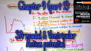 SA nodal and ventricular muscle action potential Chapter 9 part 2 Guyton and hall  Heart physiology [upl. by Schonthal]