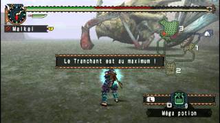 LP 429 Chassons les monstres de Monster Hunter Freedom Unite Shen Gaoren [upl. by Annuaerb]