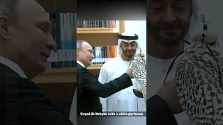 President Putin in UAE russia uae putin sheikhzayed usa mbs shorts ytshorts russmika24 [upl. by Oner]