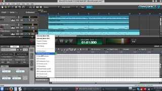 Basic Mixing amp Mastering in Mixcraft tutorial [upl. by Zampardi]