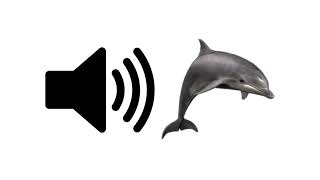 Dolphin  Sound Effect  ProSounds [upl. by Zeculon309]