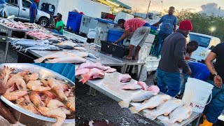 Orange Valley Fish Market  Trinidad [upl. by Lishe393]