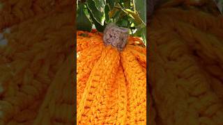 How to Crochet a Pumpkin Stem  FAST [upl. by Mireielle]