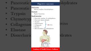 Enzymes in digestive system [upl. by Dorion]