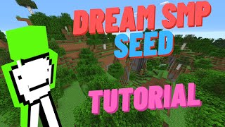 How To Play On Dream SMP Seed Tutorial [upl. by Philippa]