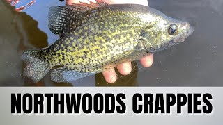 Bobber Fishing Northern Wisconsin Crappies [upl. by Erwin192]