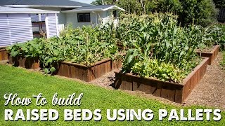 How to Build Raised Beds Using Pallets UPDATE VIDEO LINKED IN DESCRIPTION BOX  A Thousand Words [upl. by Malas]