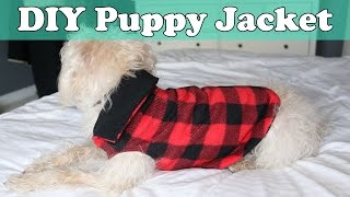 Quick and Easy DIY Puppy Jacket  Coat [upl. by Mahgirb]