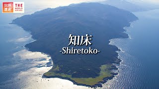 【絶景】北海道・知床の四季 ShiretokoJapan [upl. by Euqirne]